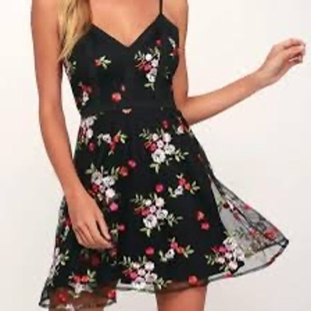 NWT Lulus Favorite Fleur Black Floral Mesh Embroidered Skater Dress Size  XS